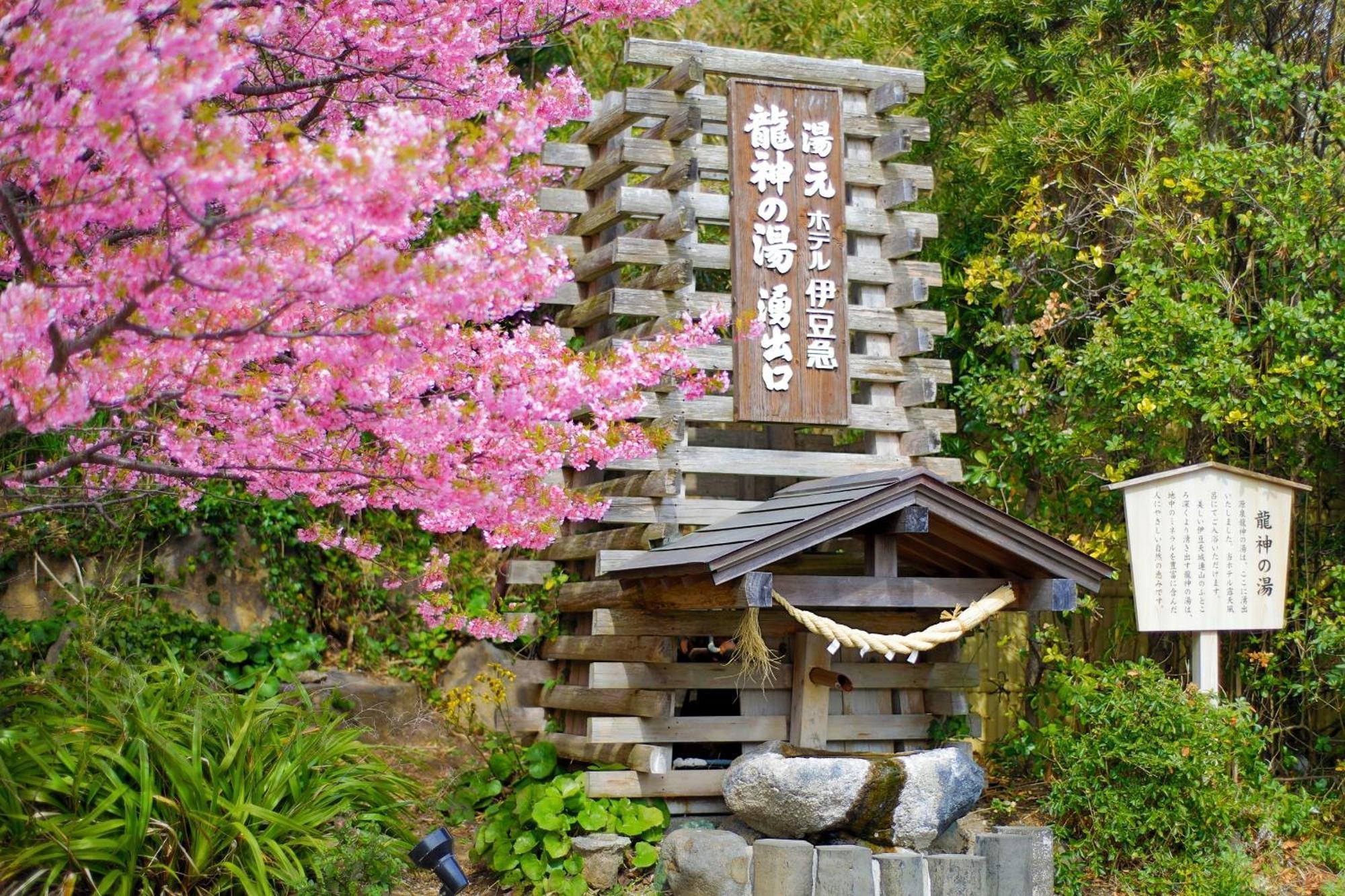 Hotel Izukyu Shizuoka Exterior photo